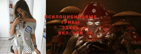 соль курить ск Верхний Тагил