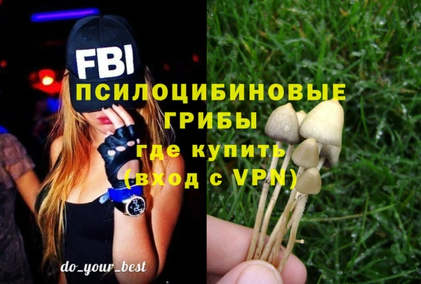 соль курить ск Верхний Тагил
