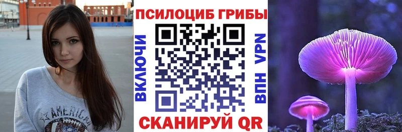 Псилоцибиновые грибы Psilocybe  это наркотические препараты  Ипатово 